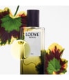 Produktbild 4 von 5, LOEWE Esencia Eau de Parfum