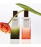 Produktbild 5 von 5, LOEWE Esencia Eau de Parfum
