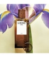 Produktbild 4 von 5, LOEWE Solo Eau de Parfum