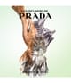 Image du produit 4 sur 4, Prada Les Infusions Eau de parfum