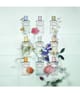 Image du produit 4 sur 5, Prada Les Infusions Eau de parfum