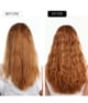 Obrázek produktu 4 z 5, COCUNAT Happy Hair Doplňky stravy