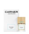 Product image 2 from 4, Carner Barcelona FIG MAN Eau de Parfum