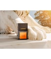 Image du produit 3 sur 4, Carner Barcelona FELINO Eau de parfum