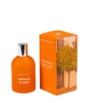 Zdjęcie produktu 2 z 2, BALEARIC ELEMENTS Orange Blend Woda toaletowa