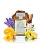 Produktbild 3 von 3, Argos Fragrances Pour Homme Eau de Parfum