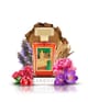 Produktbild 3 von 3, Argos Fragrances Pallas Athene Eau de Parfum