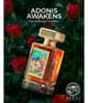 Produktbild 3 von 3, Argos Fragrances Adonis Awakens Eau de Parfum