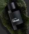 Produktbild 4 von 4, Commodity MOSS Expressive Parfum