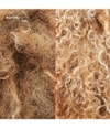 Produktbild 5 von 5, OLAPLEX No. 4P Haarshampoo