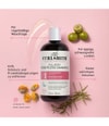 Produktbild 3 von 5, Curlsmith Full Body Haarshampoo