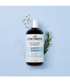 Produktbild 2 von 5, Curlsmith Fragrance-Free Haarshampoo