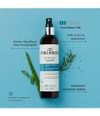 Produktbild 3 von 5, Curlsmith Effortless Haarspray