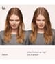Living Proof Perfect hair Day Suchy szampon 90 ml 850426006090 visual2-shot_pl