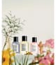 Produktbild 6 von 6, Balmain Hair Couture Vetiver 1974 Haarparfum
