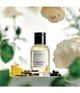 Balmain Hair Couture Cardamom 1974 Haarparfum 100 ml 8720791753085 visual2-shot_de