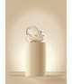 Productafbeelding 4 van 6, Balmain Hair Couture Cellulose Acetate Pince à Cheveux Impériale Haarspelden
