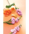 Image du produit 3 sur 5, Balmain Hair Couture Printemps Leaf Barrettes