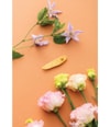 Productafbeelding 3 van 5, Balmain Hair Couture Printemps Leaf Haarspelden