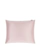 Obrázek produktu 1 z 2, Dore & Rose Premium Kids Pillowcase 50x60 Polštář