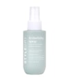 Produktbild 1 von 3, STYLEDRY Orange & Pineapple Texturizing Spray Texturizing Spray
