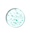 Produktbillede 2 af 6, Anua PDRN Hyaluronic Acid Hydrating Capsule Mist 30ml Serum