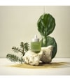 Produktbillede 3 af 6, WHAMISA Cactus Inner Skin Moisture Serum