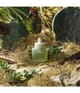 Produktbillede 6 af 6, WHAMISA Cactus Inner Skin Moisture Serum