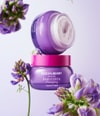 Produktbild 5 von 6, Eqqualberry Bakuchiol Plumping Gesichtscreme