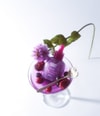 Image du produit 5 sur 6, Eqqualberry Bakuchiol repulpant Sérum visage