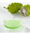 Produktbild 3 av 6, Celimax The Real Noni Serum