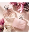 Produktbild 5 von 6, ESTÉE LAUDER Beautiful Magnolia Eau de Parfum