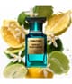 Produktbild 2 von 3, TOM FORD Private Blend Eau de Parfum
