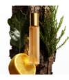 Produktbild 3 von 3, TOM FORD Signature Eau de Parfum