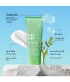 Produktbild 4 von 6, Sand & Sky Oil Control Gesichtsmaske