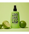 Image du produit 2 sur 5, The Fox Tan Rapid Man Mist Spray solaire