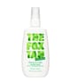 Produktbild 1 von 2, The Fox Tan Rapid Tanning Mist Sonnenspray