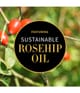 Produktbild 2 von 4, Antipodes Vanilla Pod Gesichtscreme