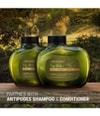 Produktbild 5 von 5, Antipodes Lime Caviar Haarmaske