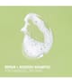 Produktbild 2 von 5, Antipodes Fig + Feijoa Haarshampoo