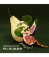 Produktbild 3 von 5, Antipodes Fig + Feijoa Haarshampoo