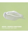 Produktbild 2 von 5, Antipodes Fig + Feijoa Conditioner