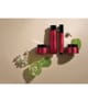 AHAVA Apple of Sodom Rynkkorrigerare 15 ml 697045157228 visual-shot_se