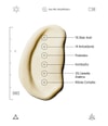 Produktbild 3 av 6, ALLIES OF SKIN Multi Nutrient & Dioic Ansiktskräm