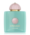 Produktbild 1 von 3, Amouage Odyssey Eau de Parfum
