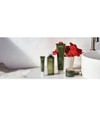 Produktbild 2 von 2, Aveda Botanical Kinetics Augencreme