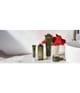 Aveda Botanical Kinetics Gesichtsmaske 125 ml 018084975619 visual-shot_de