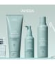 Produktbild 2 von 3, Aveda Scalp Solutions Conditioner