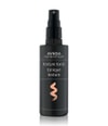 Produktbild 1 von 2, Aveda Texture Tonic Texturizing Spray