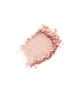 Benefit Cosmetics Cookie Highlighter 8 g 602004138781 detail-shot_de